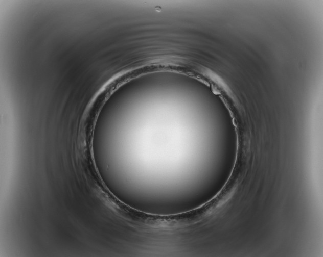 X0000086250923200704051237