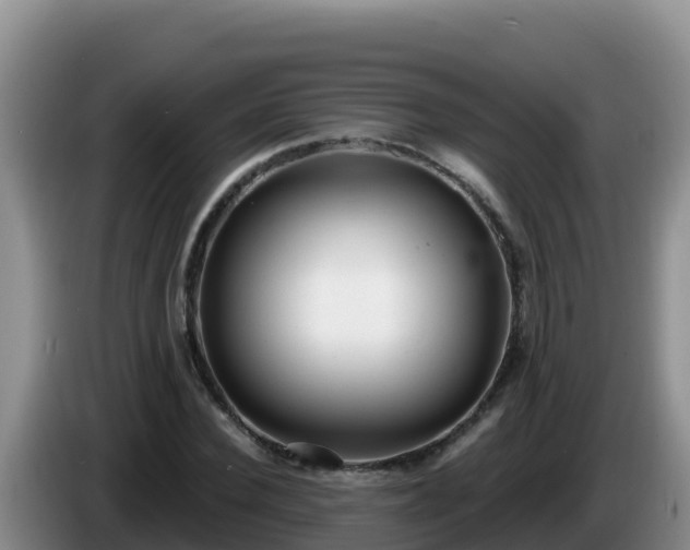 X0000086250924200704051237