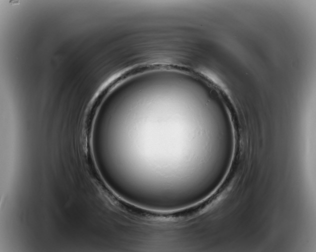 X0000086250925200704051237
