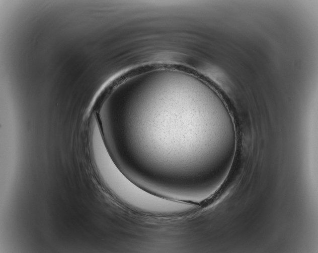 X0000086250926200704051237