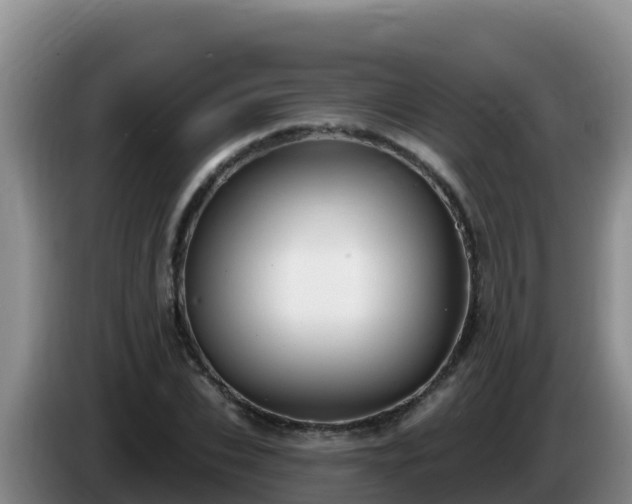 X0000086250927200704051237