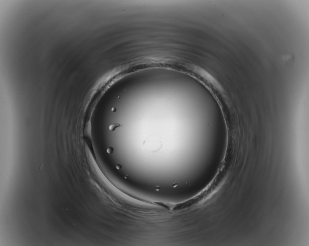 X0000086250930200704051237