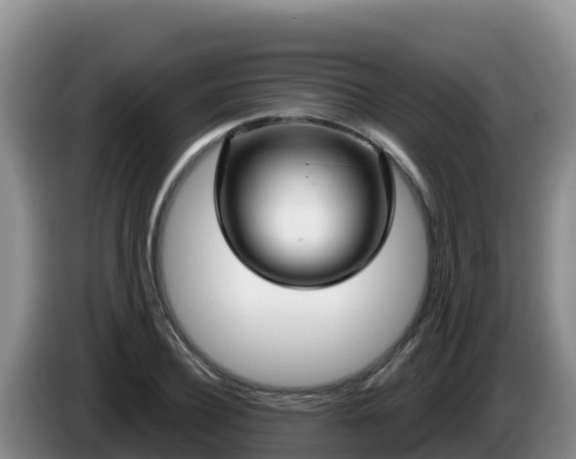X0000086250932200704051237