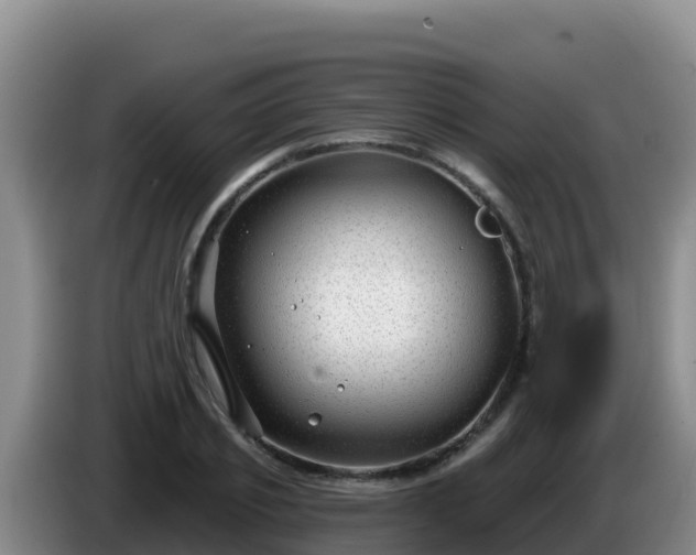 X0000086250933200704051237