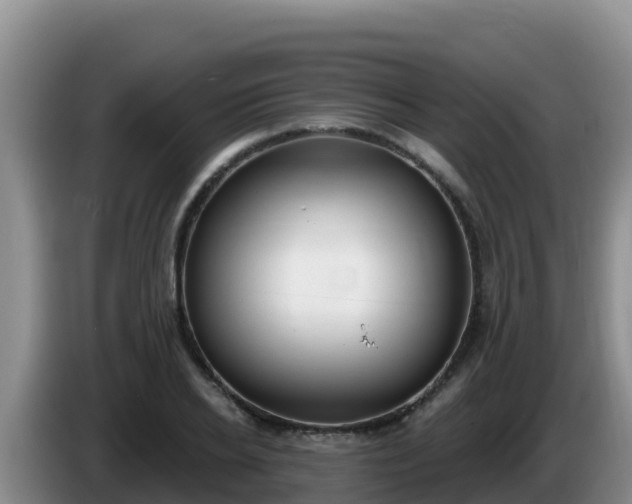X0000086250934200704051237