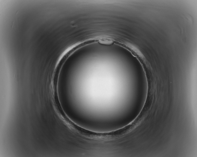 X0000086250936200704051237