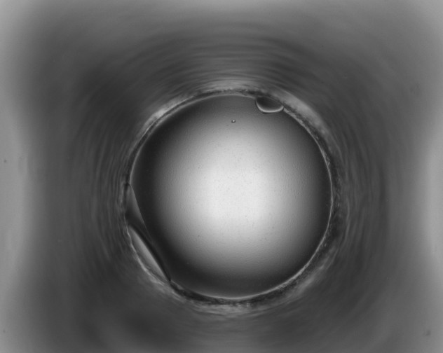 X0000086250937200704051237