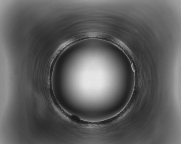 X0000086250938200704051237