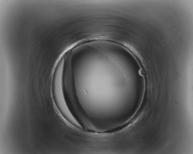 X0000086250941200704051237