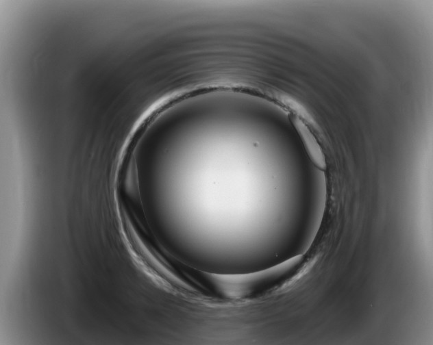 X0000086250942200704051238