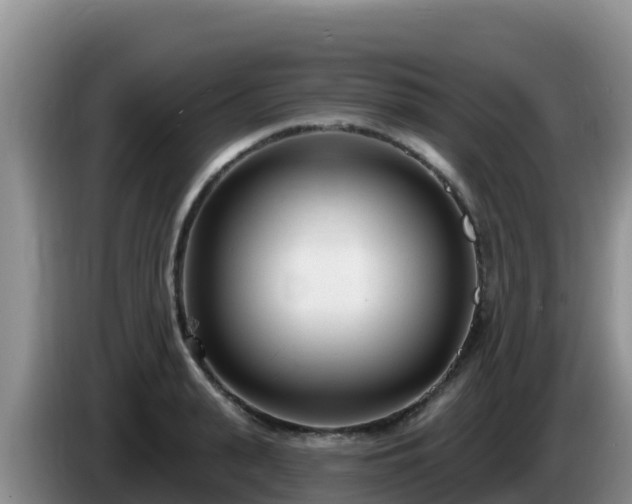 X0000086250943200704051238