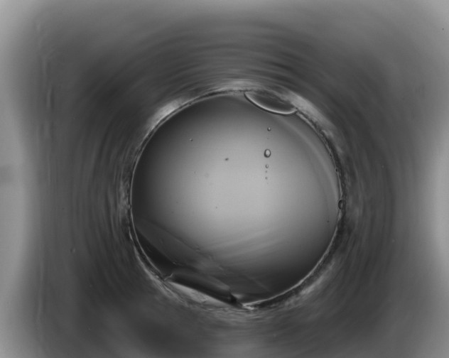 X0000086250945200704051238
