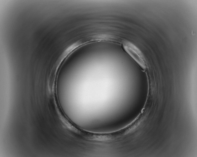 X0000086250946200704051238