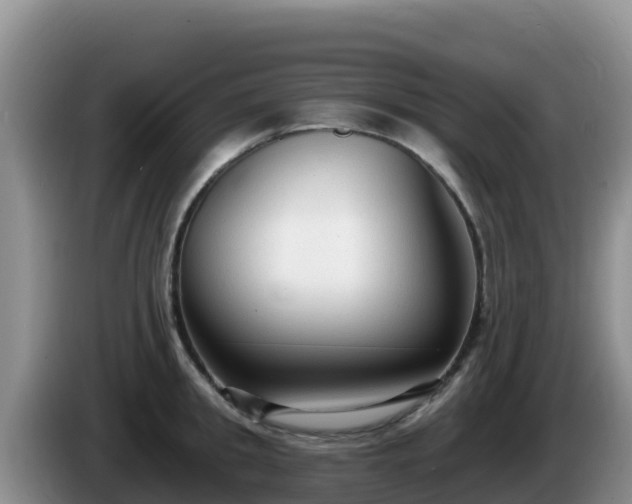 X0000086250949200704051238