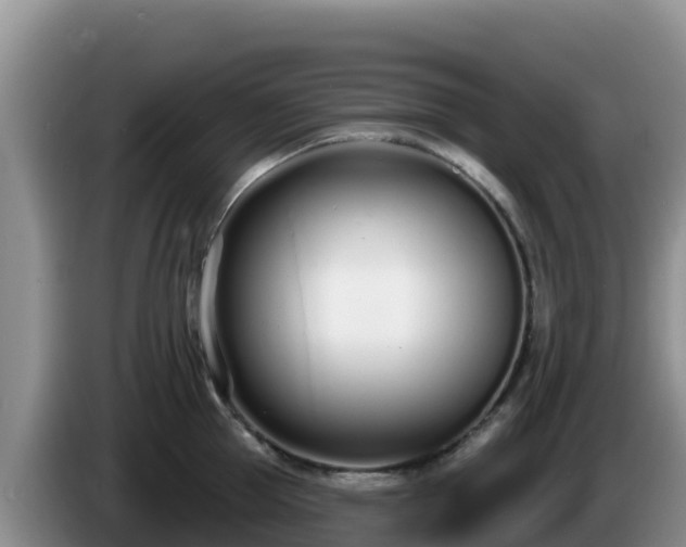 X0000086250953200704051238