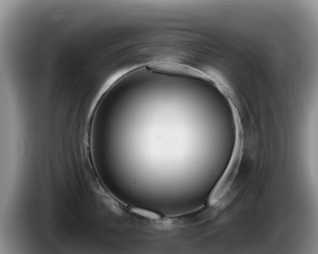 X0000086250956200704051238