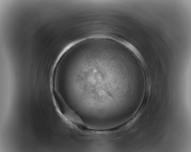 X0000086250958200704051238