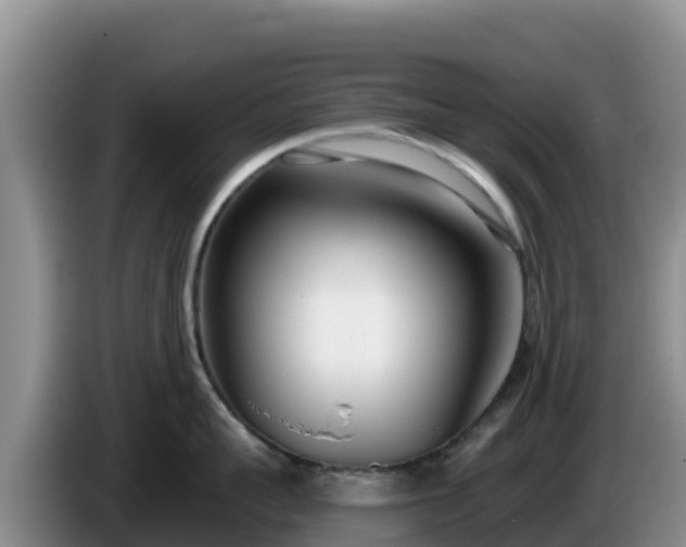 X0000086250959200704051238