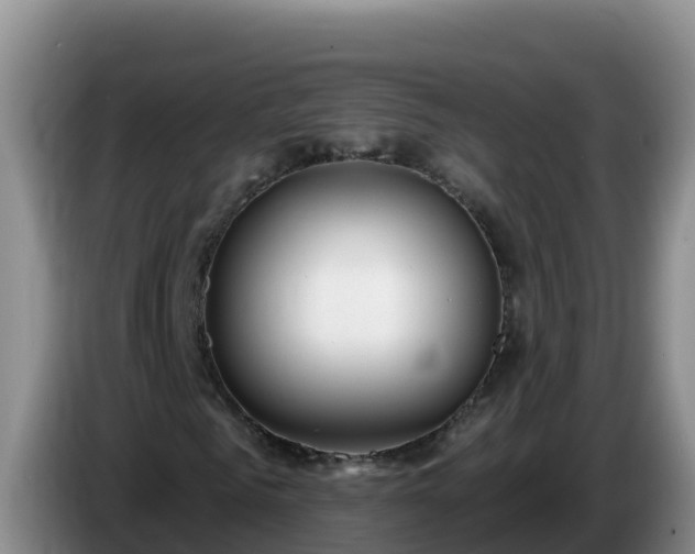 X0000086250961200704051237