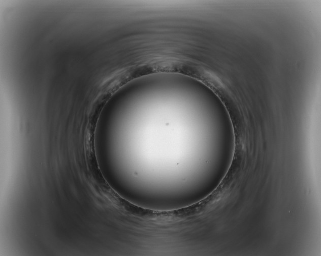 X0000086250964200704051237