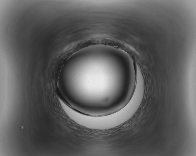 X0000086250965200704051237