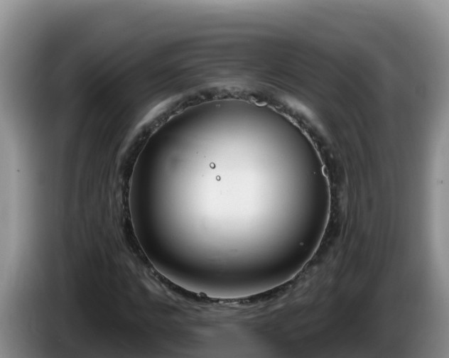 X0000086250968200704051237