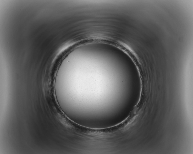 X0000086250971200704051237