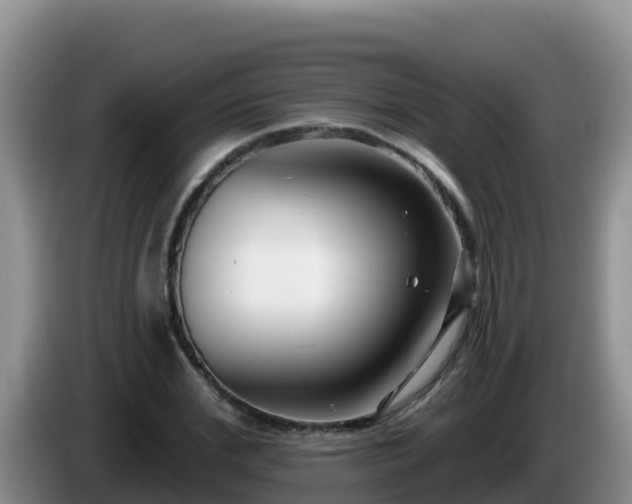 X0000086250972200704051237
