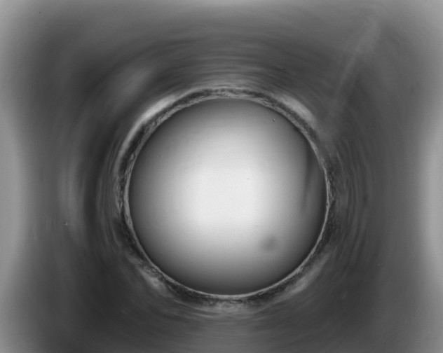 X0000086250974200704051237