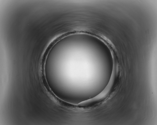 X0000086250976200704051237