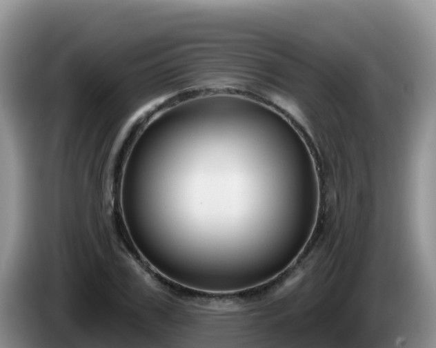 X0000086250979200704051237