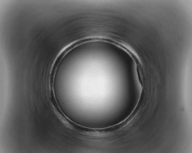 X0000086250980200704051237