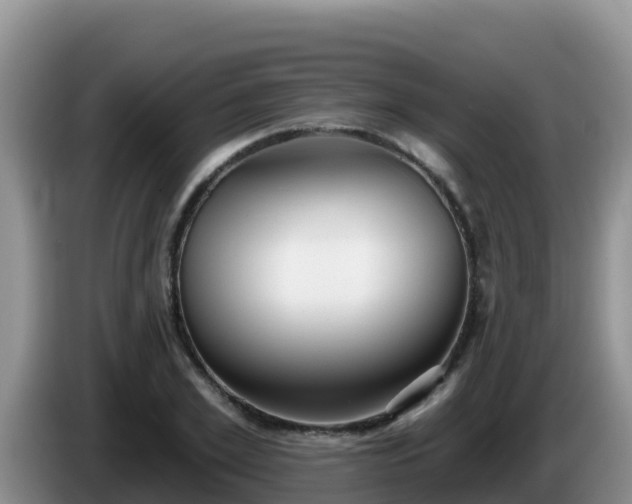 X0000086250981200704051237
