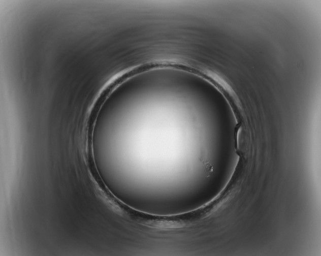 X0000086250984200704051237