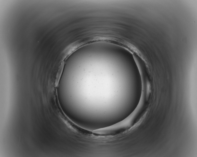 X0000086250985200704051237