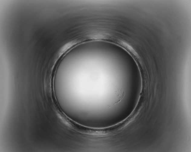 X0000086250986200704051237