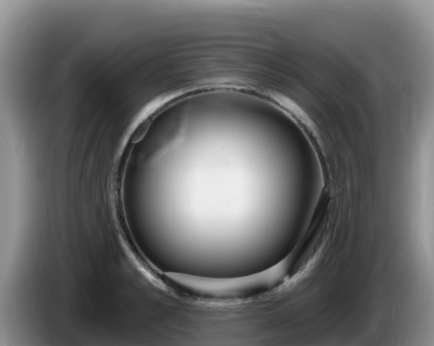 X0000086250989200704051237