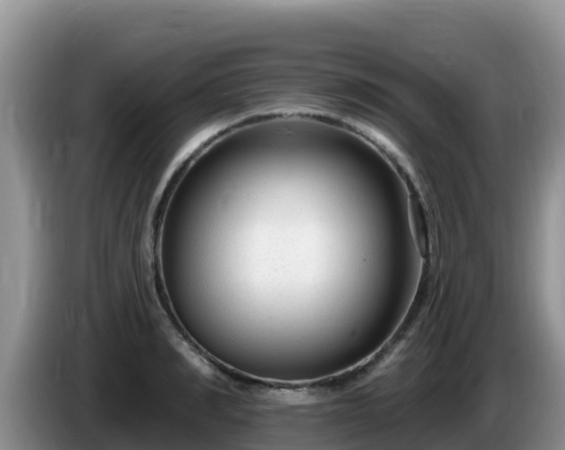 X0000086250990200704051237