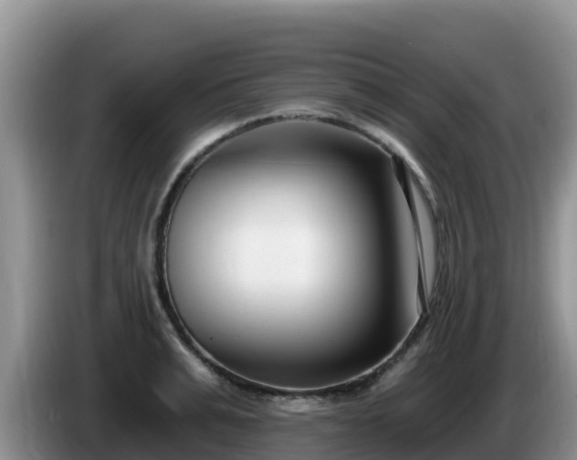 X0000086250991200704051237