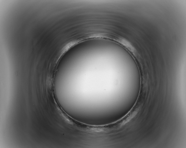 X0000086250993200704051237