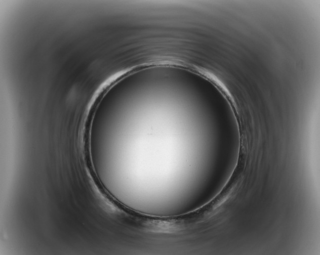 X0000086250995200704051237