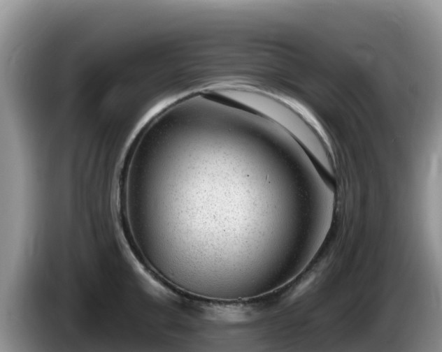 X0000086250999200704051237