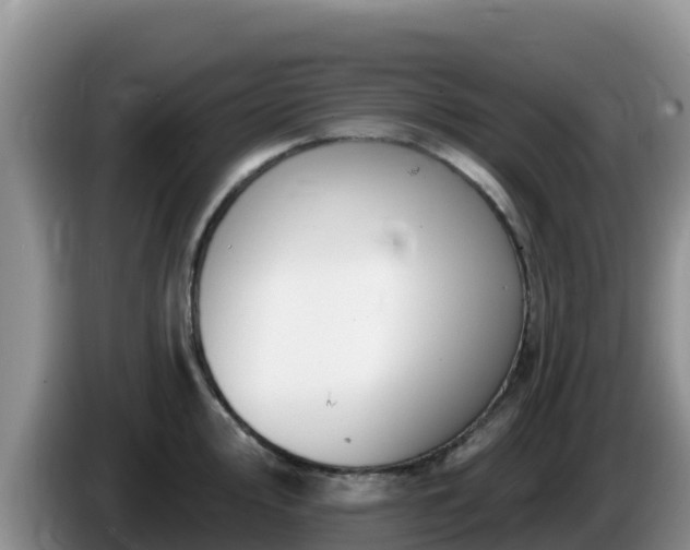 X0000086251000200704051237