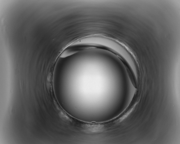 X0000086251001200704051237