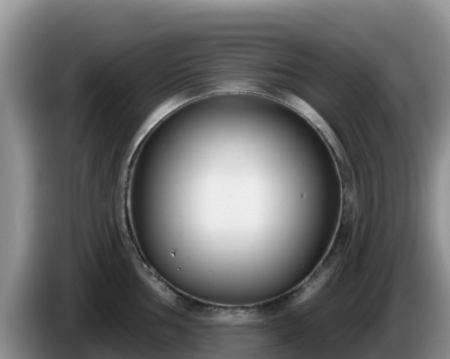 X0000086251002200704051237