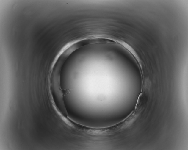 X0000086251005200704051236