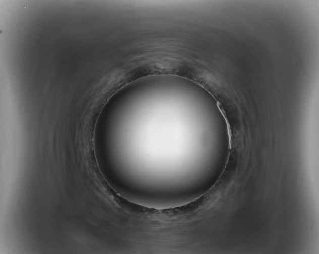 X0000086251009200704051236