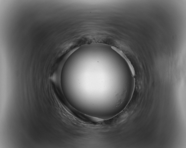 X0000086251010200704051236