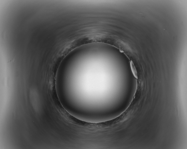 X0000086251012200704051236