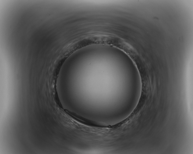 X0000086251013200704051236